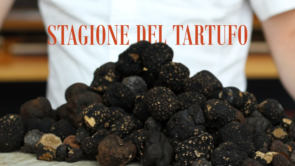 Stagione del tartufo